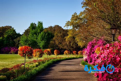 تفسير رؤية البستان في المنام 1 bellingrath gardens alabama landscape scenic 158028