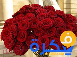 تفسير حلم رؤية الميت يعطي وردة 1 تفسير