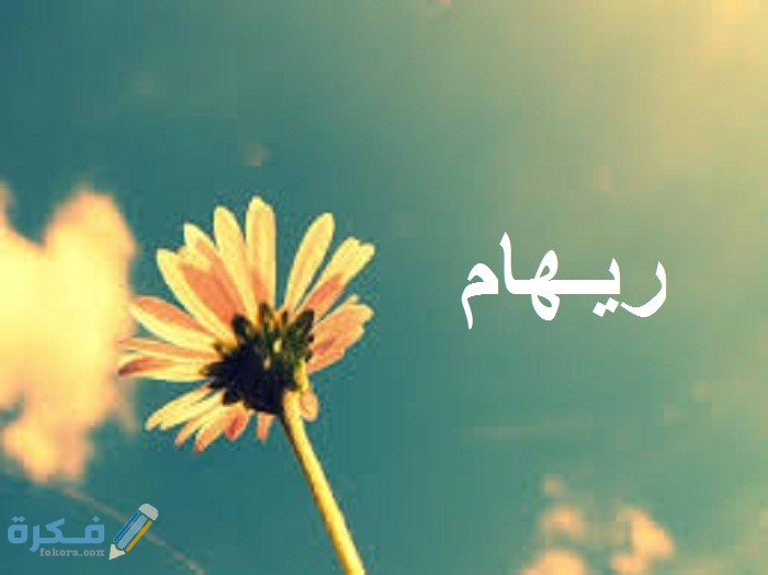 معنى اسم ريهام Reham وشخصيتها وحكم التسمية في الاسلام 1 ريهام3