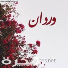 معنى اسم وردان وشخصيتها وحكم التسمية في الاسلام 1 index 11
