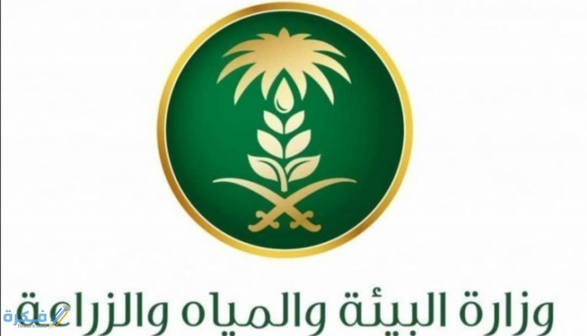 شرح خطوات التقديم في الوظائف المؤقتة من موقع وزارة البيئة والمياة 1446 1 Screenshot ٢٠٢٠٠٥١٣ ١٦٠١٣٣ 1200x687 1
