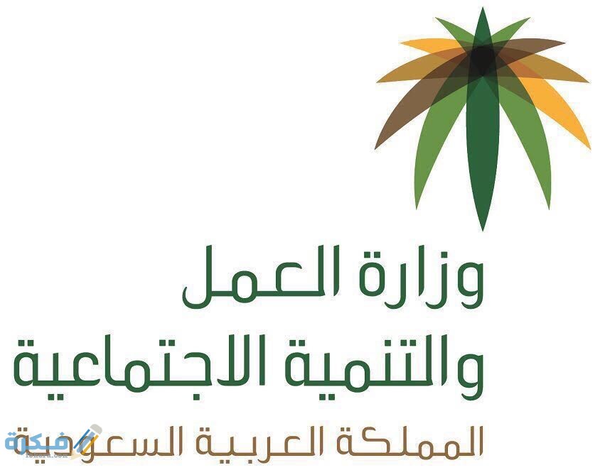شروط الحصول على التأشيرة التعويضية 1446 1 112
