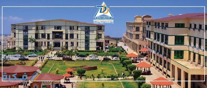 اسعار مصاريف جامعة الدلتا 2025-2025 1 IMG ٢٠٢٠٠٨٠٦ ٢٢٠٢٥٤