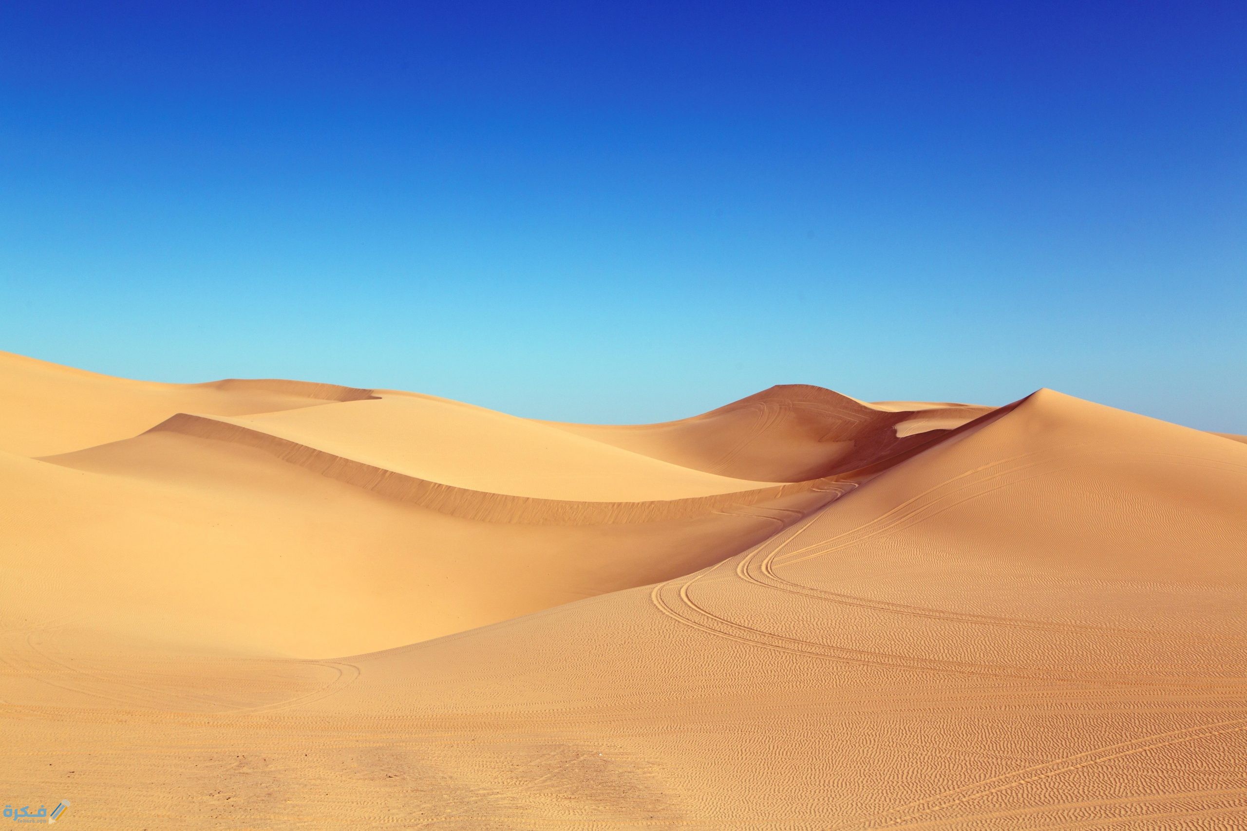 تفسير رؤية الصحراء لابن سيرين او لابن شاهين 1 pexels pixabay 210307 scaled