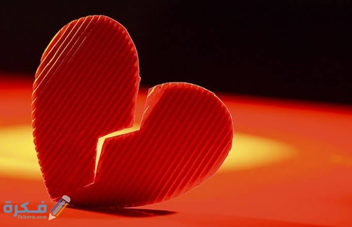 فن الرد المهذب على الكلام الجارح 1 IMG ٢٠٢١٠٢١٤ ٠١٢٤١٥