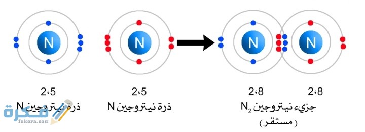 اختر الأجابة الصحيحة من بين البدائل لتصبح الجملة صحيحة جزئ النيتروجين ثنائي الذرات يحتوي على رابطة تساهمية 1 اختر الأجابة الصحيحة من بين البدائل لتصبح الجملة صحيحة جزئ النيتروجين ثنائي الذرات يحتوي على رابطة تساهمية