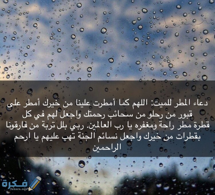 هل يستجاب الدعاء في المطر وهل تفتح أبواب السماء عند نزول المطر 1 المطر بالصور 2 2