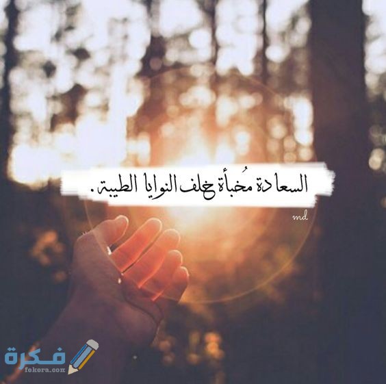 عبارات عن السعادة بالانجليزي مترجمة بالعربي 1 عن السعادة 1