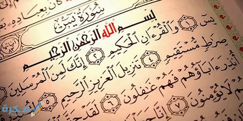 عجائب قراءة سورة يس كل يوم 1 images 30 3