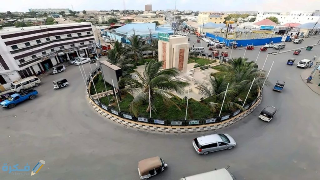 القطاعات الاقتصادية في الصومال 1 القطاع الزراعي