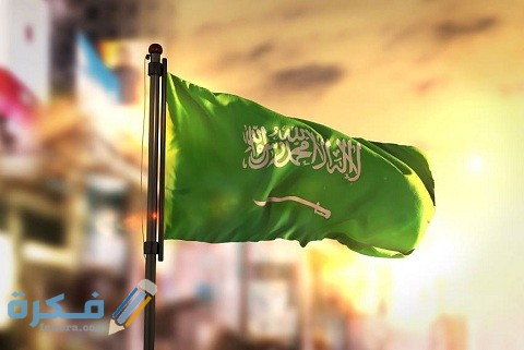 شرح خطوات طلب منحة دراسية حكومية لغير السعوديين 1 طلب منحة دراسية حكومية لغير السعوديين