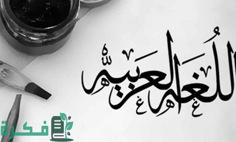 كيف نحمي اللغة العربية من الضياع 1 كيف نحمي اللغة العربية من الضياع