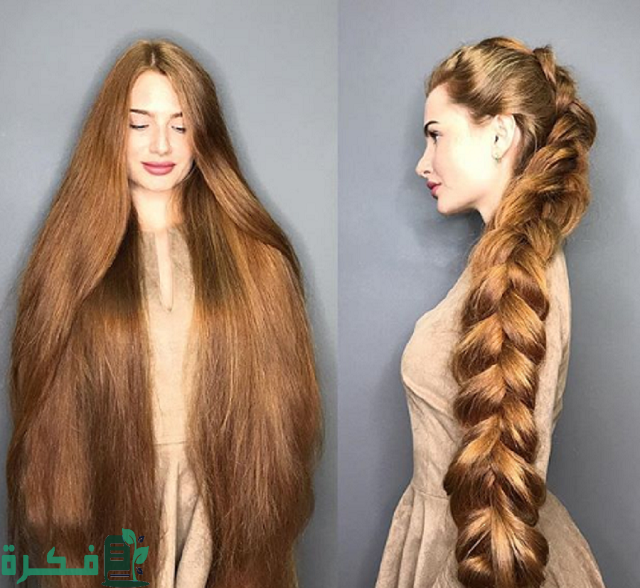أسماء احسن زيت لتطويل الشعر منخفض المسامية 1 أفضل زيت لتطويل الشعر منخفض المسامية