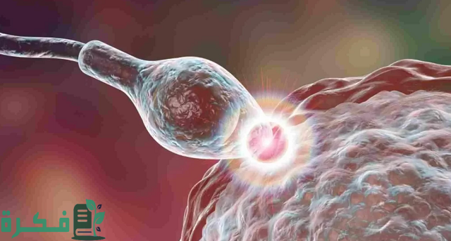 كيف تكون رائحة دم انغراس البويضة 1 كيف تكون رائحة دم انغراس البويضة؟