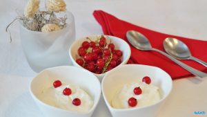 yogurt currants dessert cream 162757