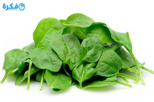 spinach espinaca