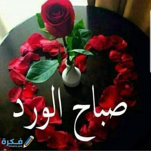 اجمل صور الورد صباح الخير