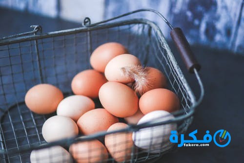 تأويل رؤية البيض في المنام لابن سيرين 1 تفسير