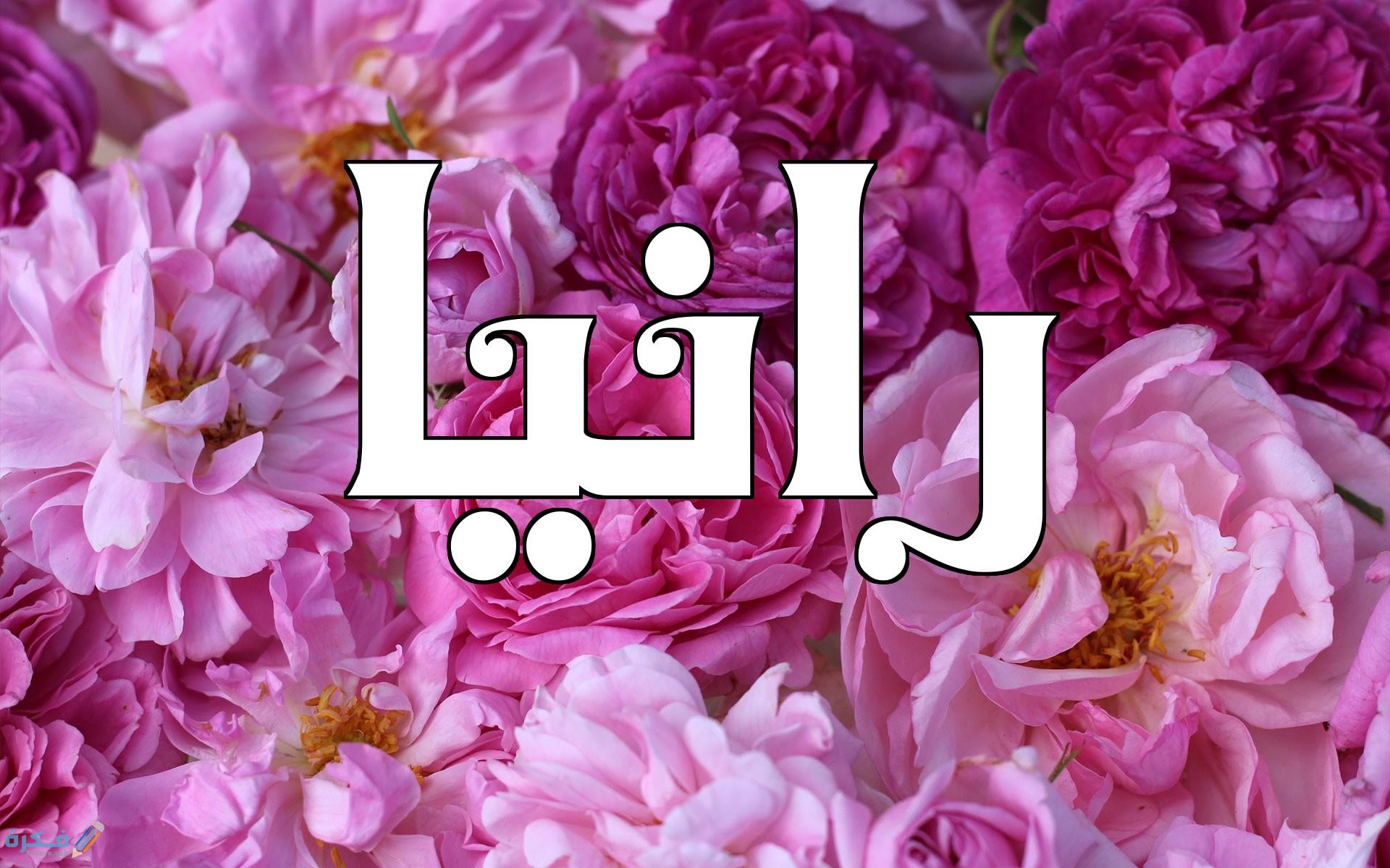 ❌ لم يتم التوليد 1 رانيا3