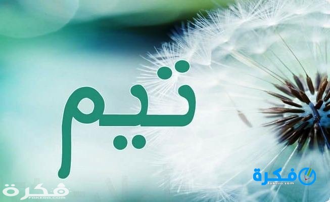 ما هي أبرز أسماء الأولاد بحرف التاء ومعانيها في 2025؟ 1 اسماء