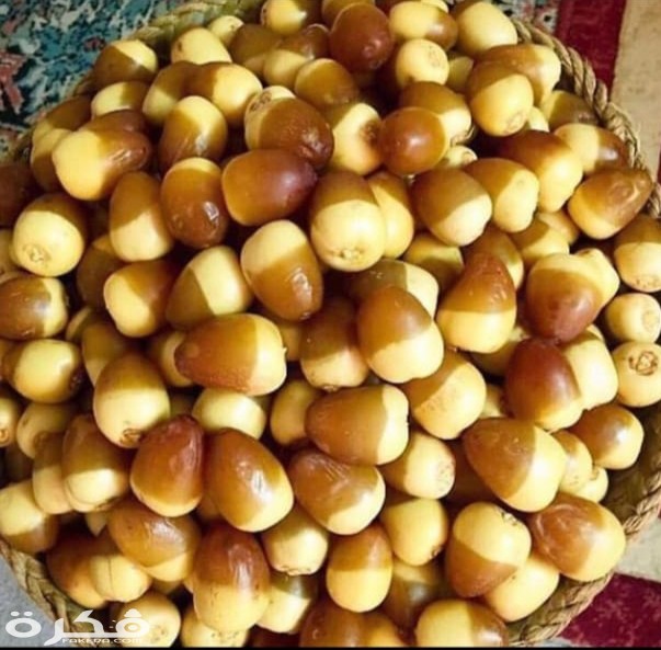 روثانه رطب روثانة (تمر)