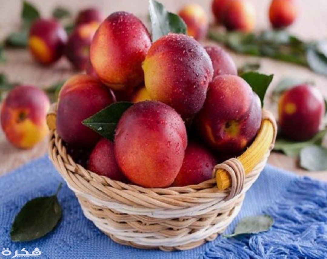 السعرات الحرارية في حبابة الخوخ 1 IMG ٢٠٢٠٠٣٠١ ١٢٣٣٥٠