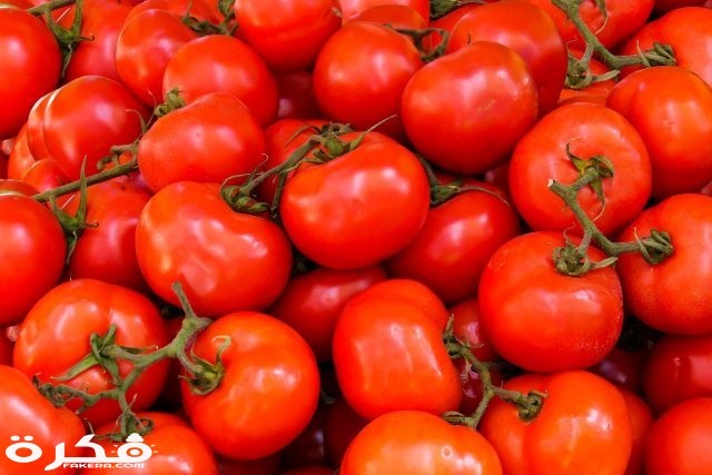 abundance agriculture fresh healthy 533280