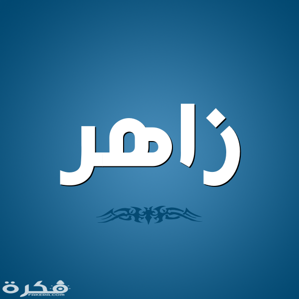 ❌ لم يتم التوليد 1 gn7uJ9Jh2S6ap