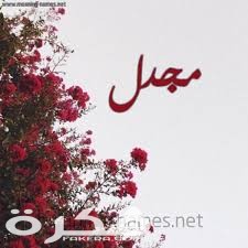 ❌ لم يتم التوليد 1 index 14