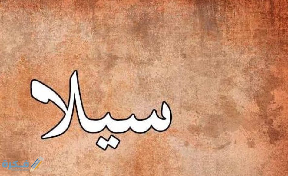 "Discover the Meaning of the Name Sila: Character Traits and Islamic Naming Guidelines" 1 سيلا