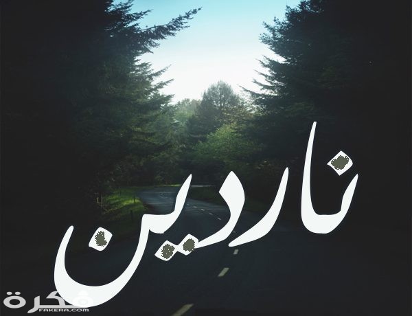 معنى اسم ناردين وشخصيتها وحكم التسمية في الاسلام 1 1 1