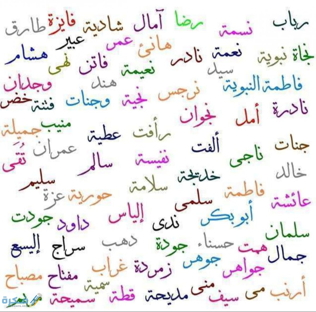 ❌ لم يتم التوليد 1 IMG ٢٠٢٠٠٤٢٤ ١٥٢٢٢٧