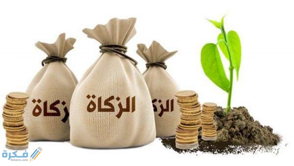 كم قيمة زكاة الفطر في السعودية