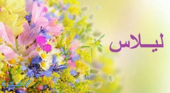 ❌ لم يتم التوليد 1 IMG ٢٠٢٠٠٧٠٣ ١٦٤١٥٦