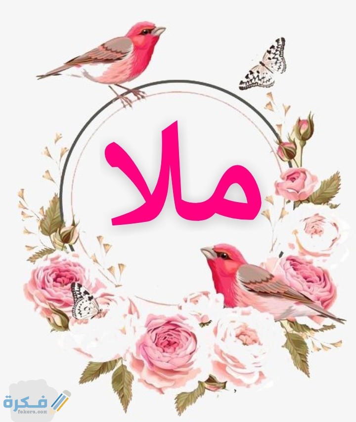 ❌ لم يتم التوليد 1 IMG ٢٠٢٠٠٧٠٥ ٠٢٠١٣٦