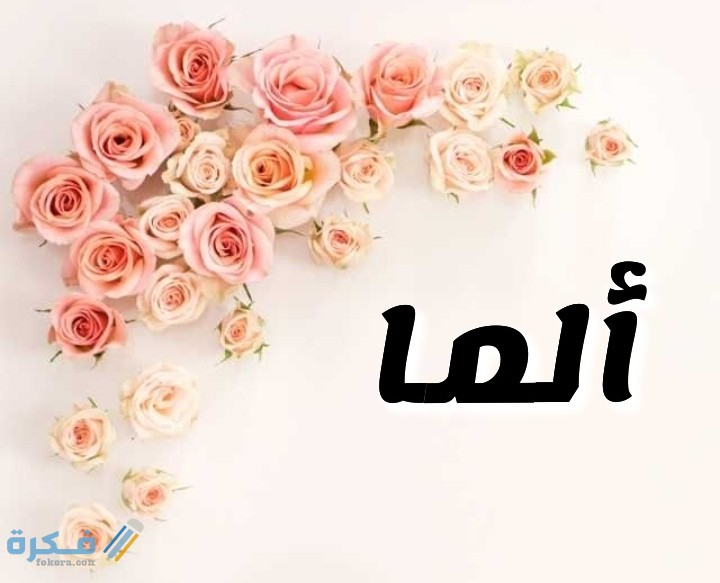 ❌ لم يتم التوليد 1 IMG ٢٠٢٠٠٧٠٥ ١٤٥٤٤٢