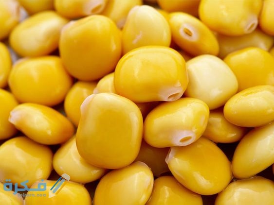 تفسير رؤية الترمس لابن سيرين او للامام الصادق 1 5f91f78000c4a23dee51fe754eca8109