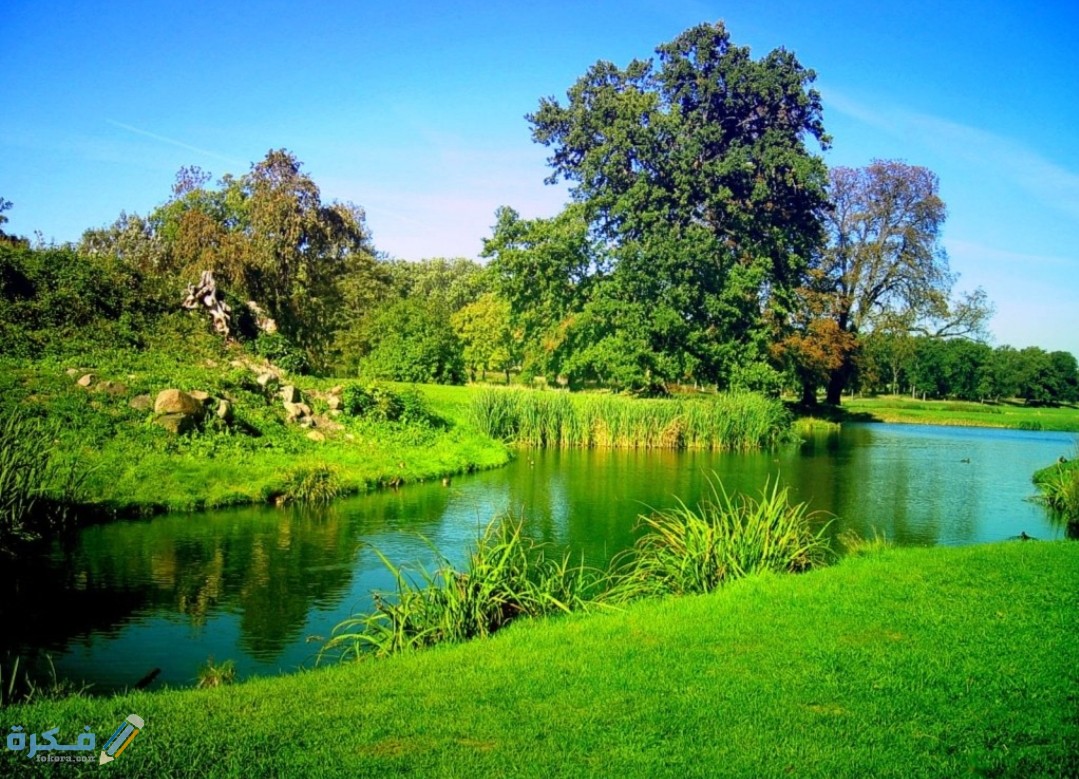صور طبيعية جميلة 2025 1 IMG ٢٠٢٠٠٨٢٨ ١٤٢٣٤٩