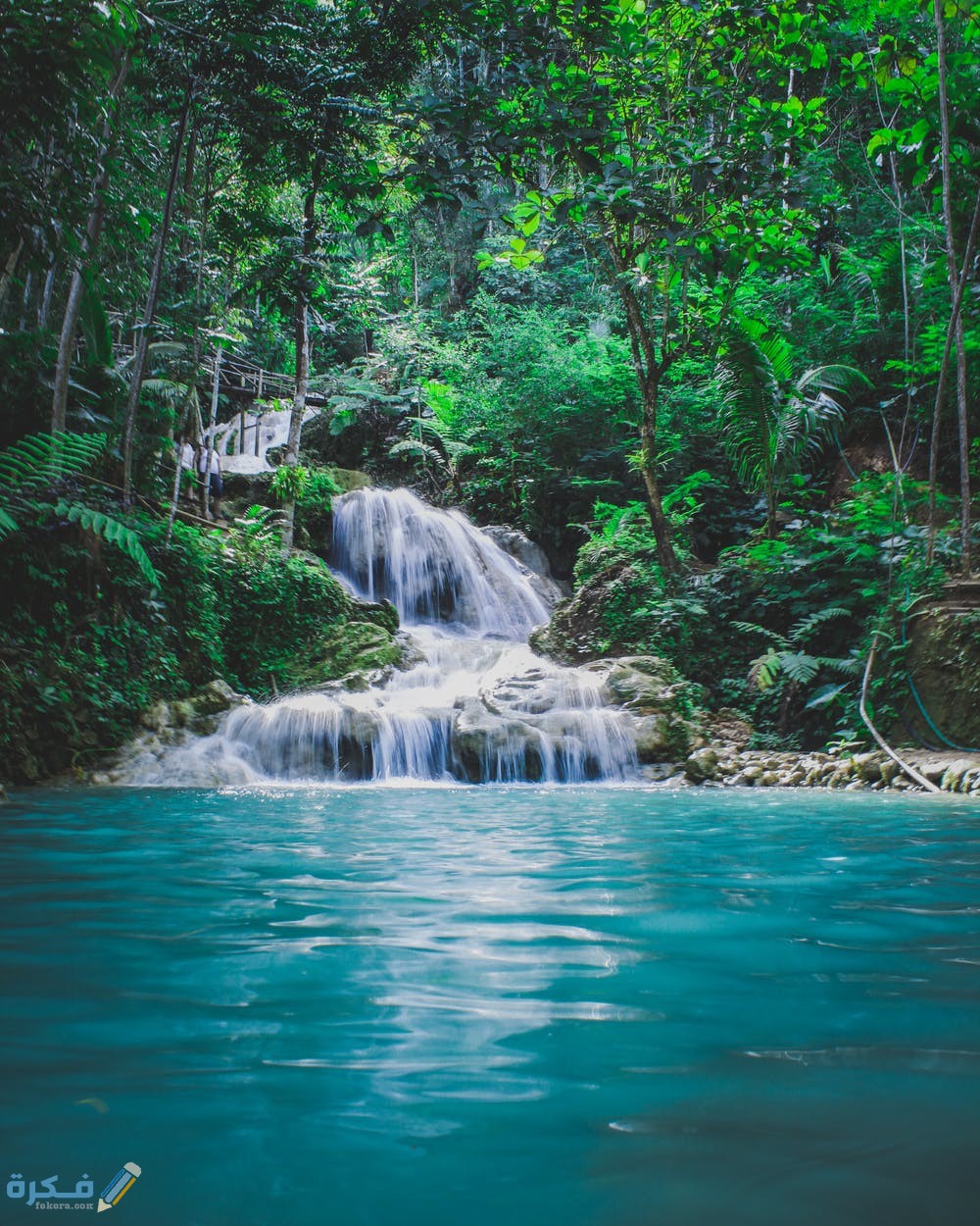 تفسير رؤية دخول الجنة والملائكة لابن سيرين 1 pexels photo 788200