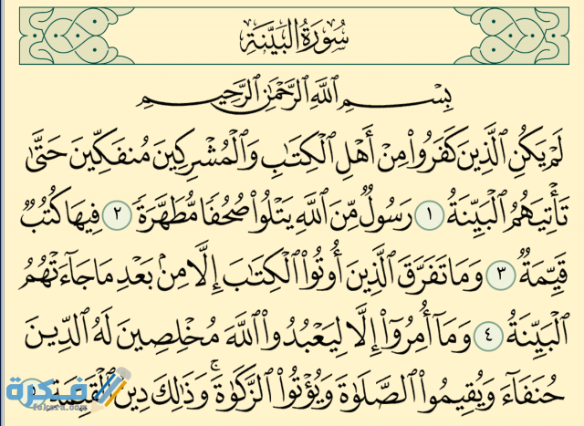 ما هي القيم الموجودة