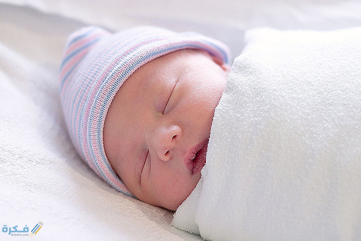 ❌ خطأ في الاتصال 1 Baby 1