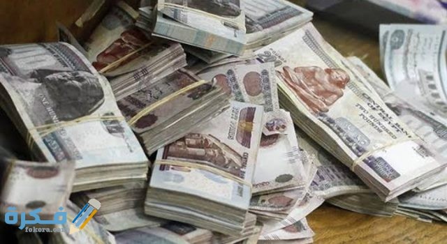 فكرة مشروع برأس مال