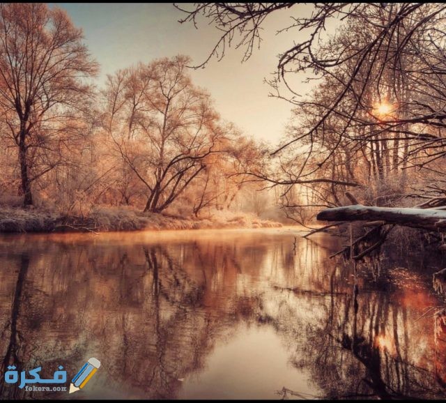 صور خلفيات لابتوب 2021