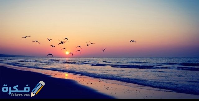 صور خلفيات لابتوب 2021