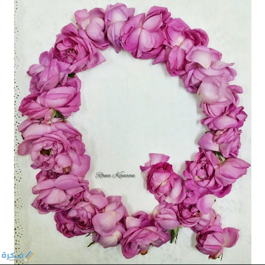 صور خلفيات حرف Q مزخرفة 2025 1 IMG ٢٠٢٠١١١٠ ٢٠١٧٤٣