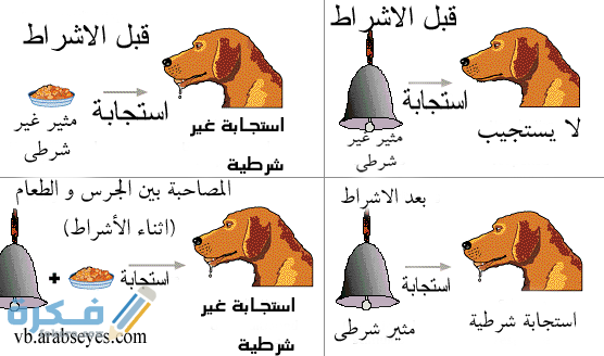 ايجابيات وسلبيات نظرية بافلوف في علم النفس 1 سلبيات وايجابيات نظرية بافلوف