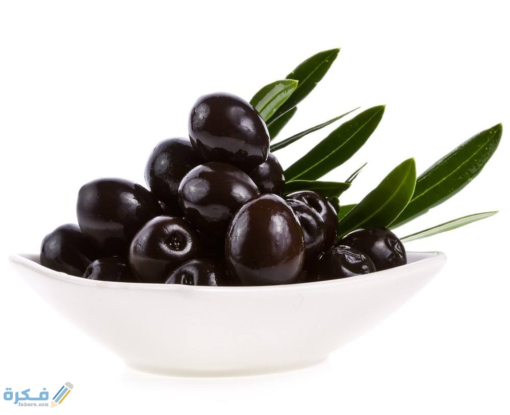 دراسة جدوى مشروع مخلل الزيتون الأسود 1 8fba8ab319199157da0198a0c74ea662bf54d2c5