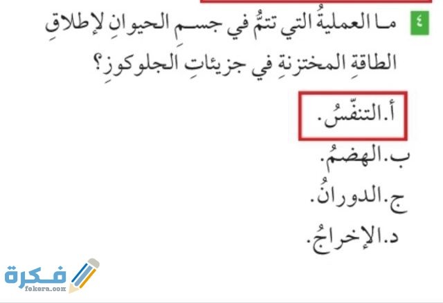 ما العملية التي تتم