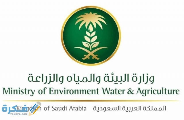شروط الانضمام لبوابة العمالة