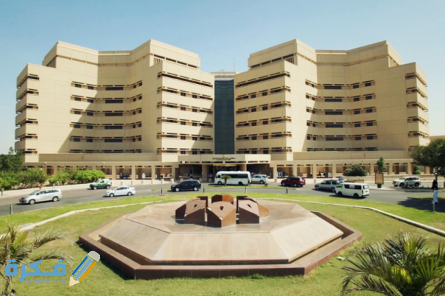 جامعة الملك عبدالعزيز 799x532 1
